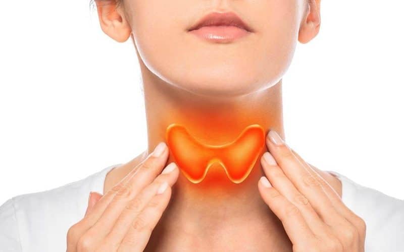 thyroid health in weight management