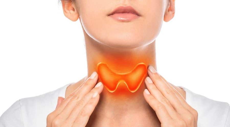 thyroid health in weight management